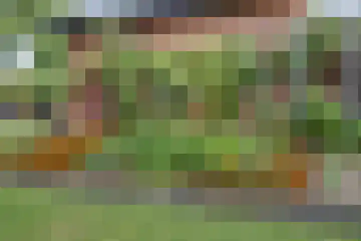 van Ophovenlaan 61 Wilbertoord thumbnail 63