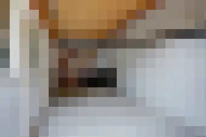 van Ophovenlaan 61 Wilbertoord thumbnail 67