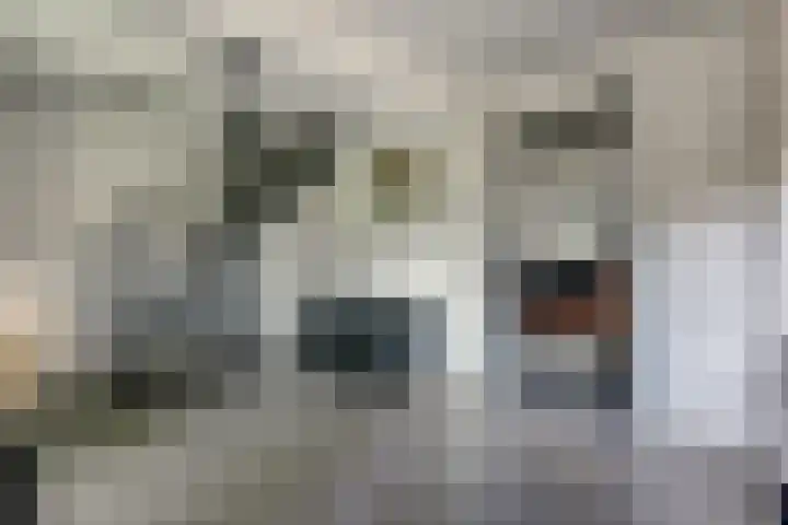 van Ophovenlaan 61 Wilbertoord thumbnail 9