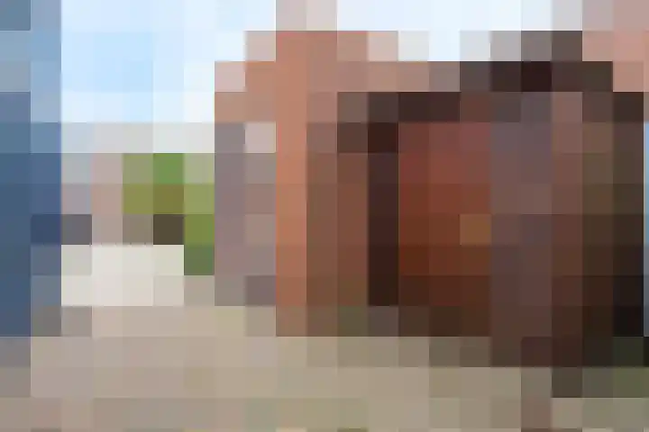 Van Oranje Nassauhof 17 Roosendaal thumbnail 20