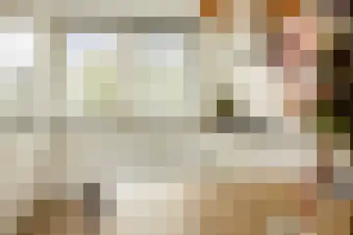 Van Oranje-Nassaulaan 85 Zevenhuizen thumbnail 11