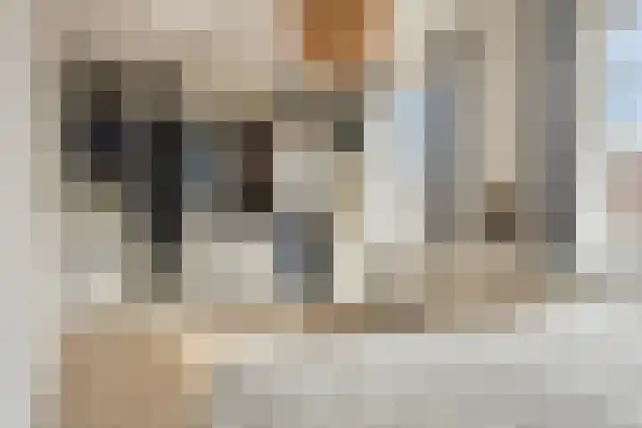 Van Oranje-Nassaulaan 85 Zevenhuizen thumbnail 17