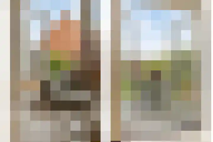 Van Oranje-Nassaulaan 85 Zevenhuizen thumbnail 30
