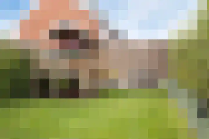 Van Oranje-Nassaulaan 85 Zevenhuizen thumbnail 32