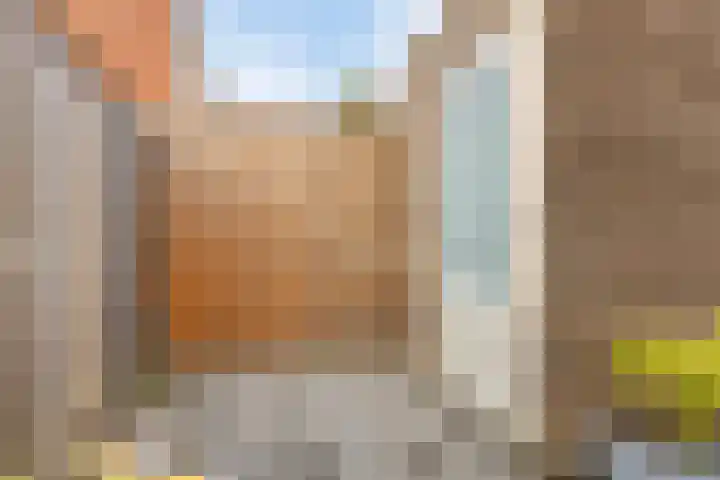 Van Oranje-Nassaulaan 85 Zevenhuizen thumbnail 33