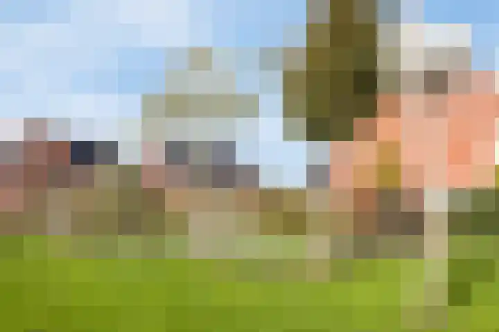 Van Oranje-Nassaulaan 85 Zevenhuizen thumbnail 35