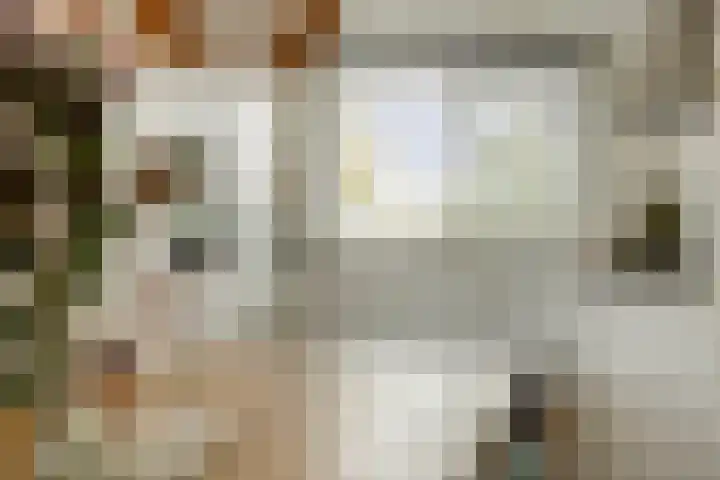 Van Oranje-Nassaulaan 85 Zevenhuizen thumbnail 4