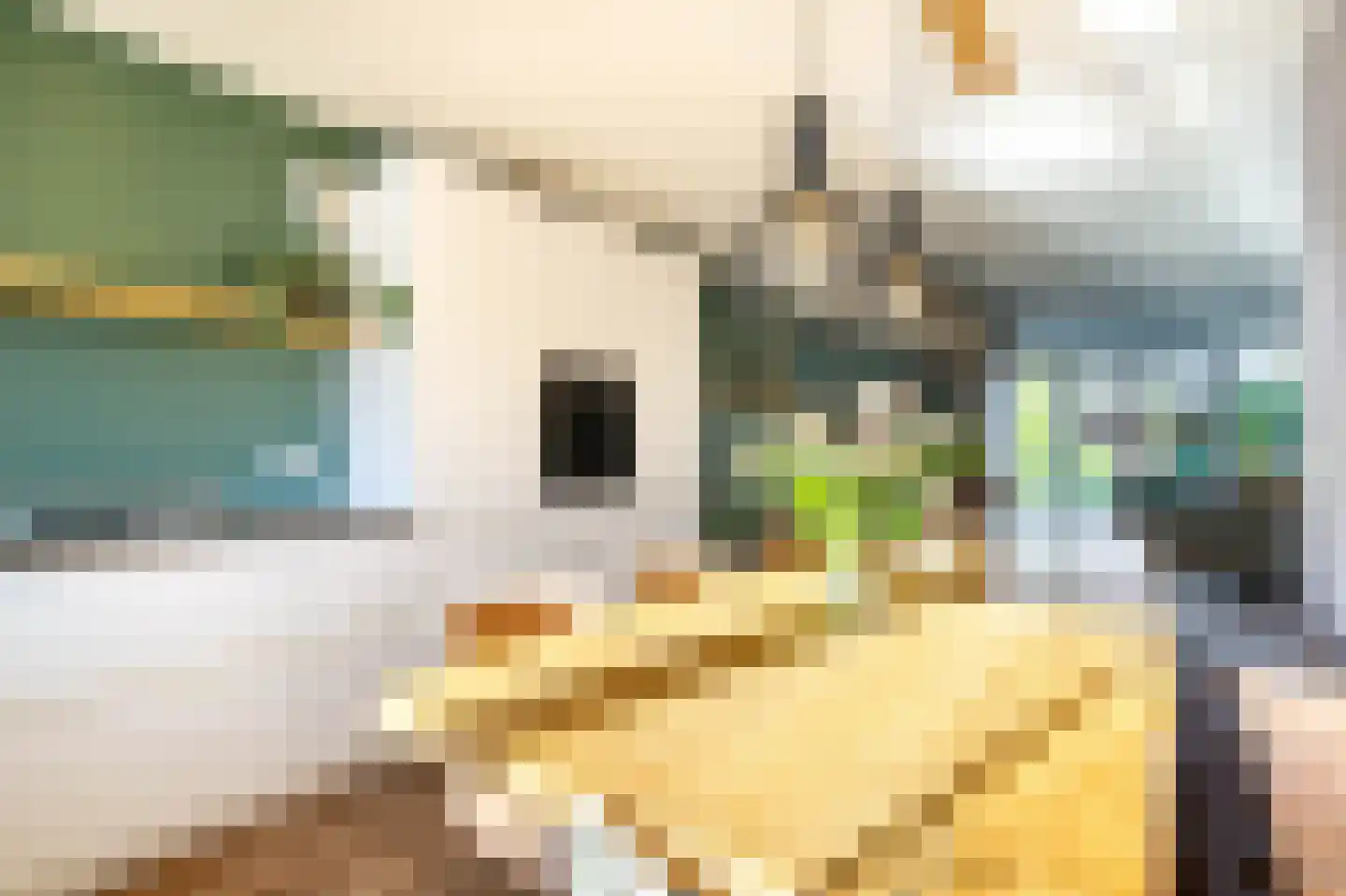 Van Oranje-Nassaulaan 91 Zevenhuizen thumbnail 16