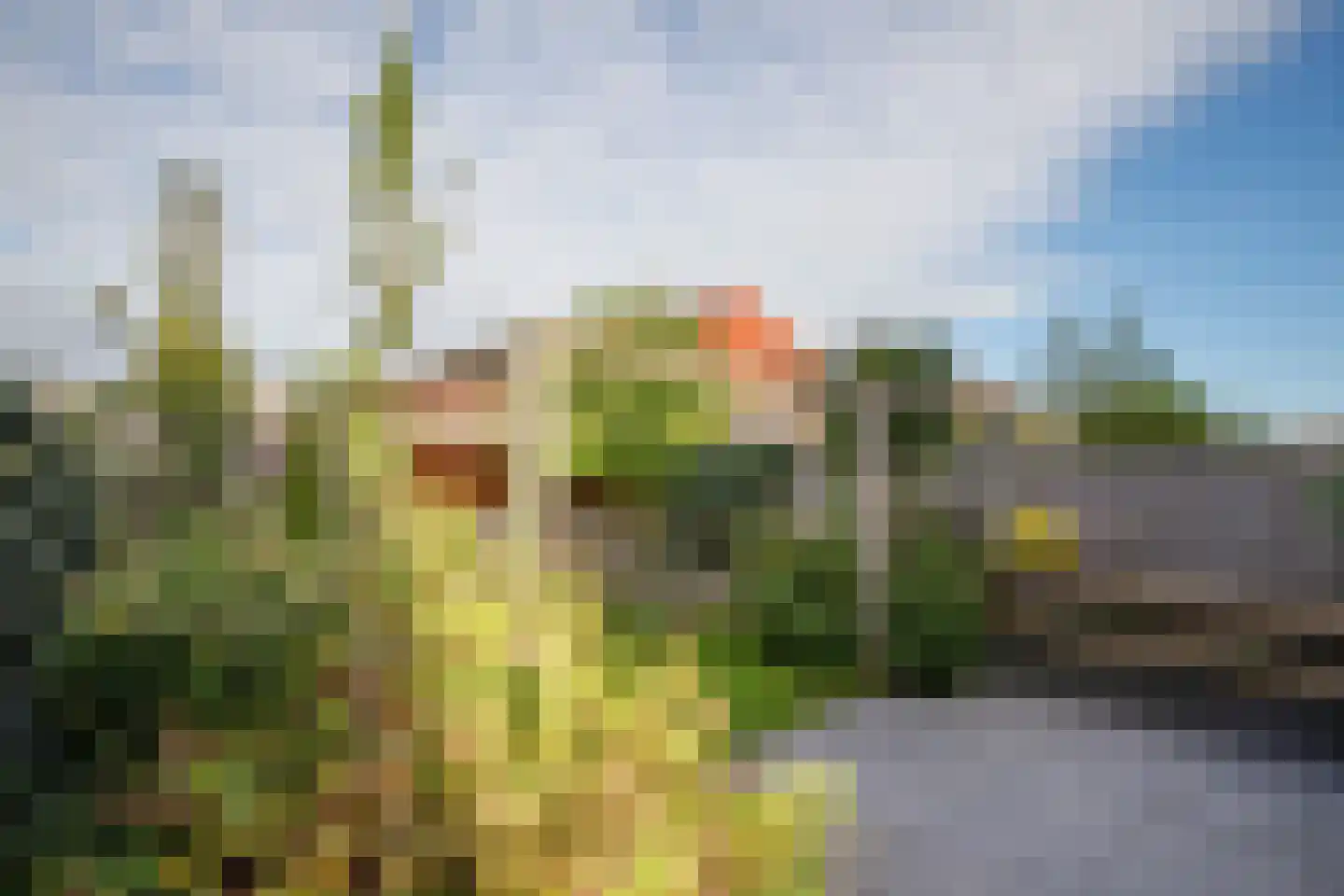 Van Oranje-Nassaulaan 91 Zevenhuizen thumbnail 41