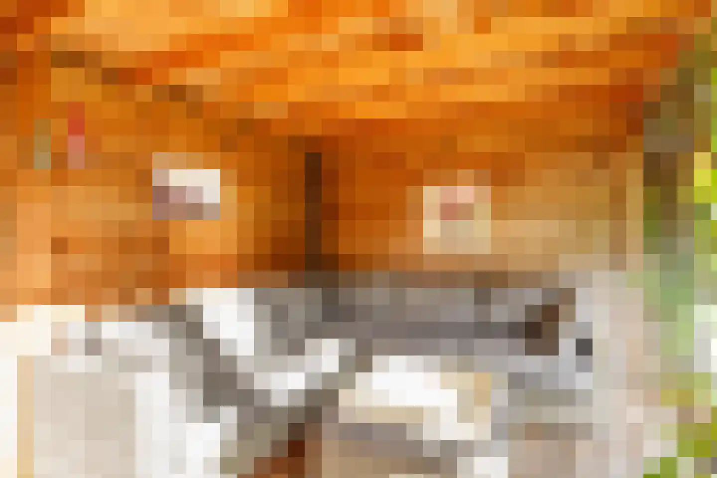 Van Oranje-Nassaulaan 91 Zevenhuizen thumbnail 43
