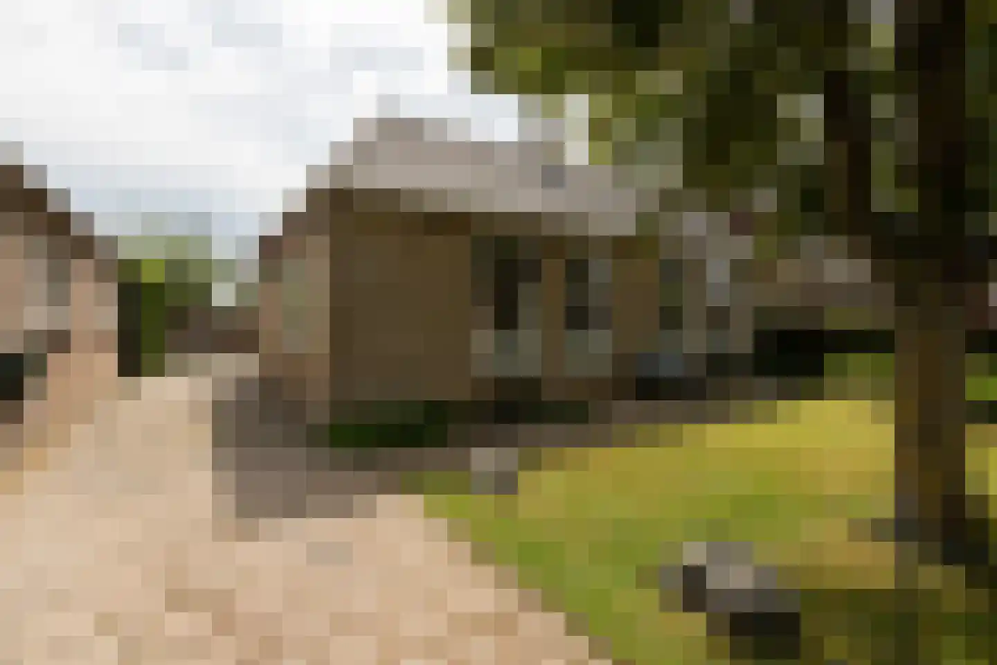 van Osingaweg 11 in Schettens
