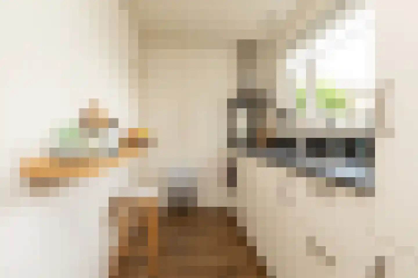 van Osingaweg 11 Schettens thumbnail 12