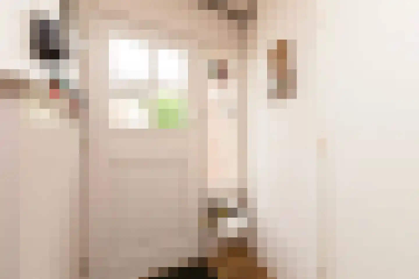 van Osingaweg 11 Schettens thumbnail 20