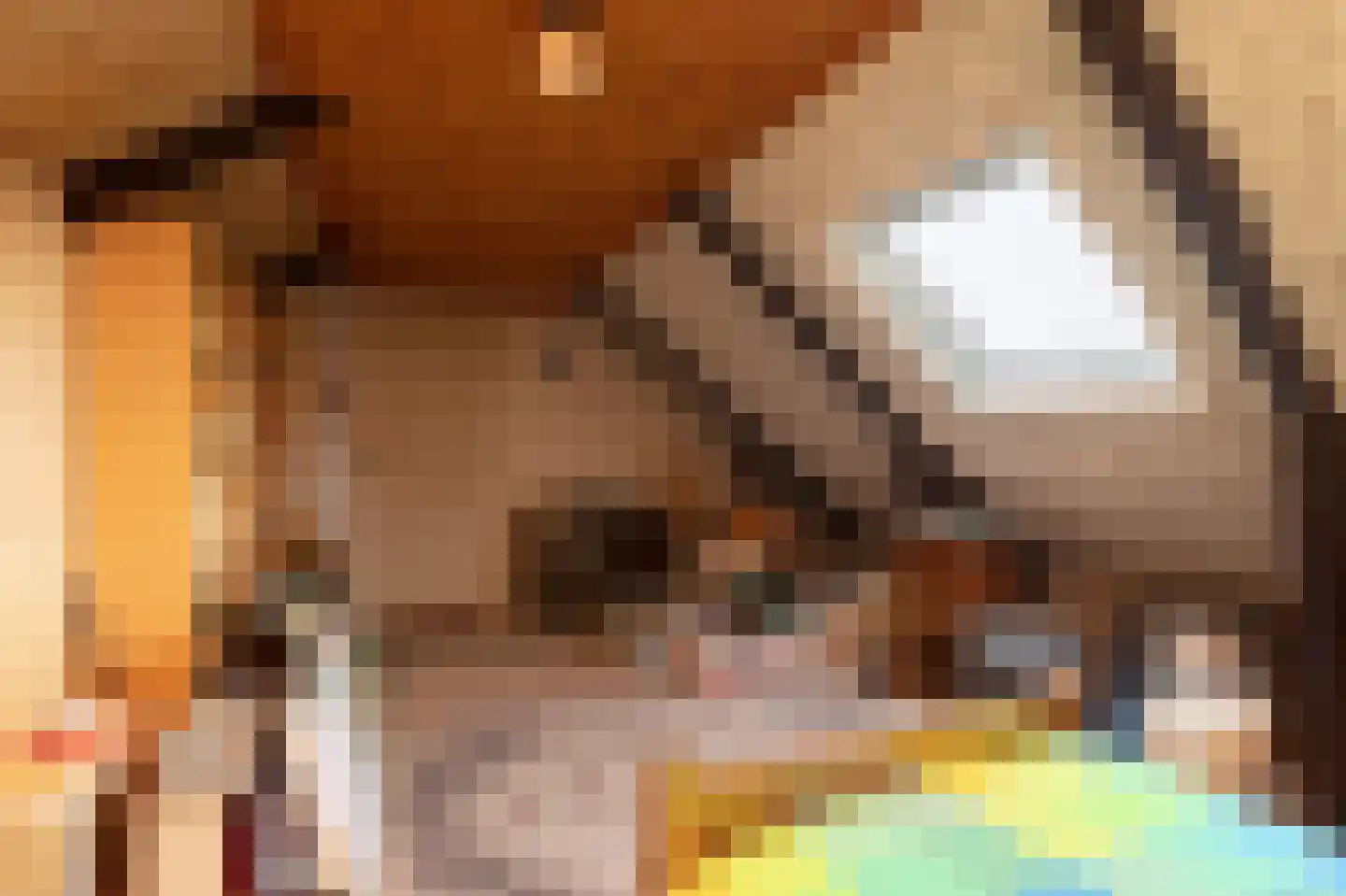 van Osingaweg 11 Schettens thumbnail 25