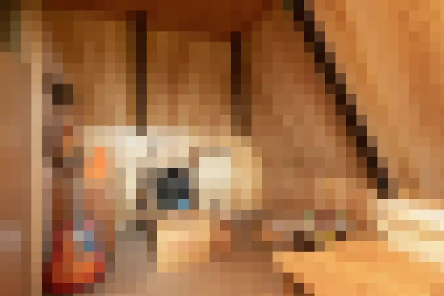van Osingaweg 11 Schettens thumbnail 28