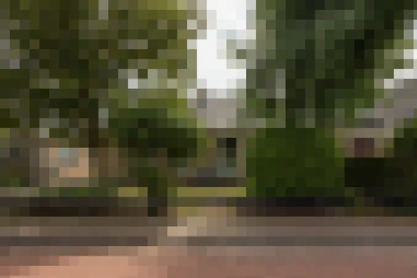 van Osingaweg 11 Schettens foto 3