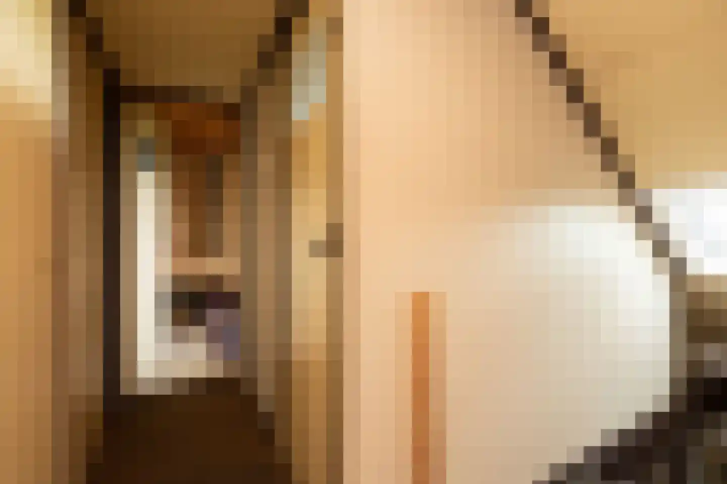 van Osingaweg 11 Schettens thumbnail 30
