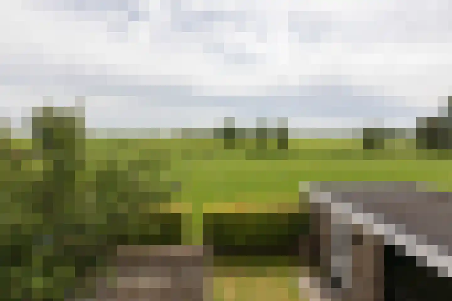 van Osingaweg 11 Schettens thumbnail 34