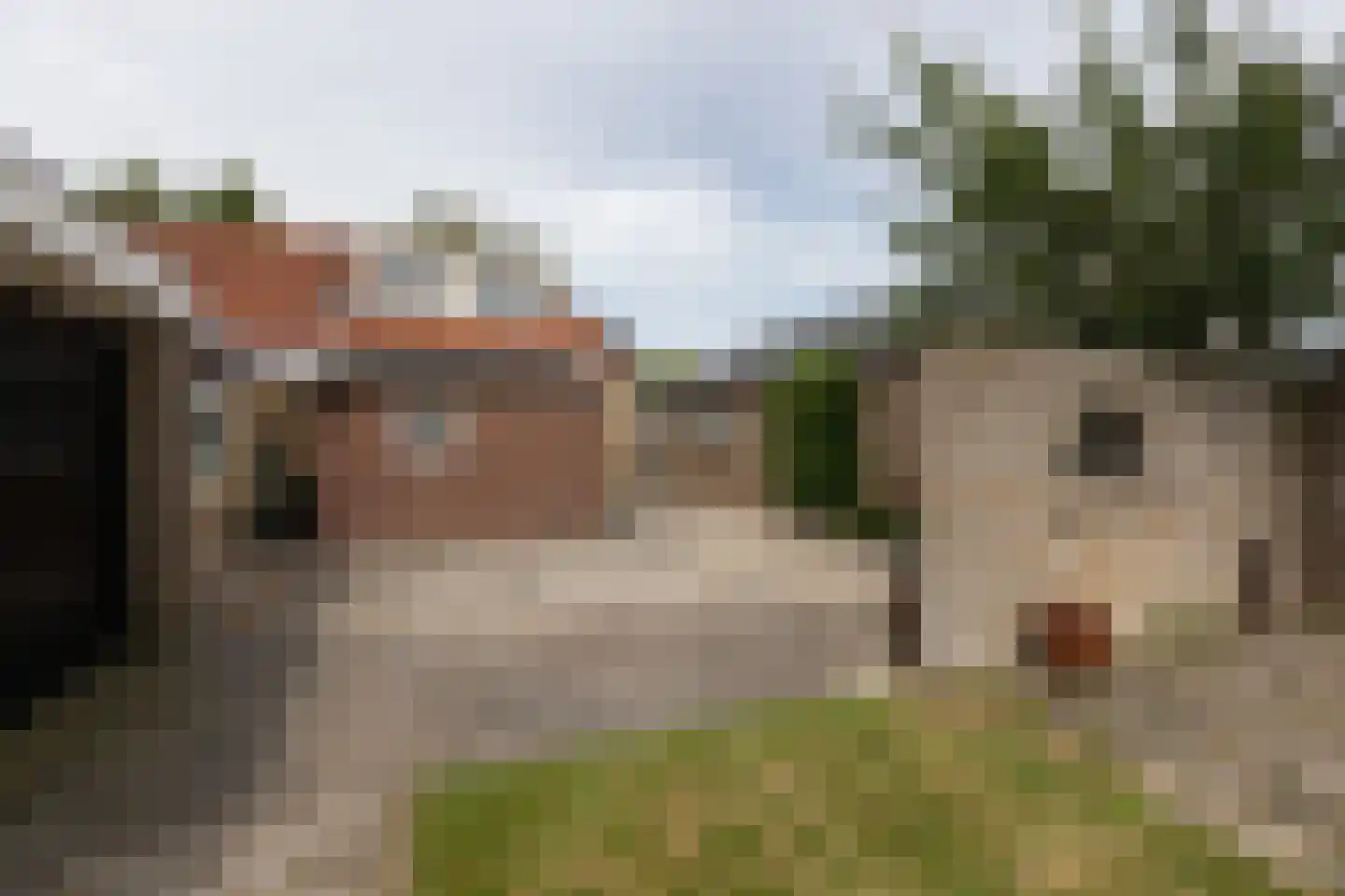 van Osingaweg 11 Schettens thumbnail 38