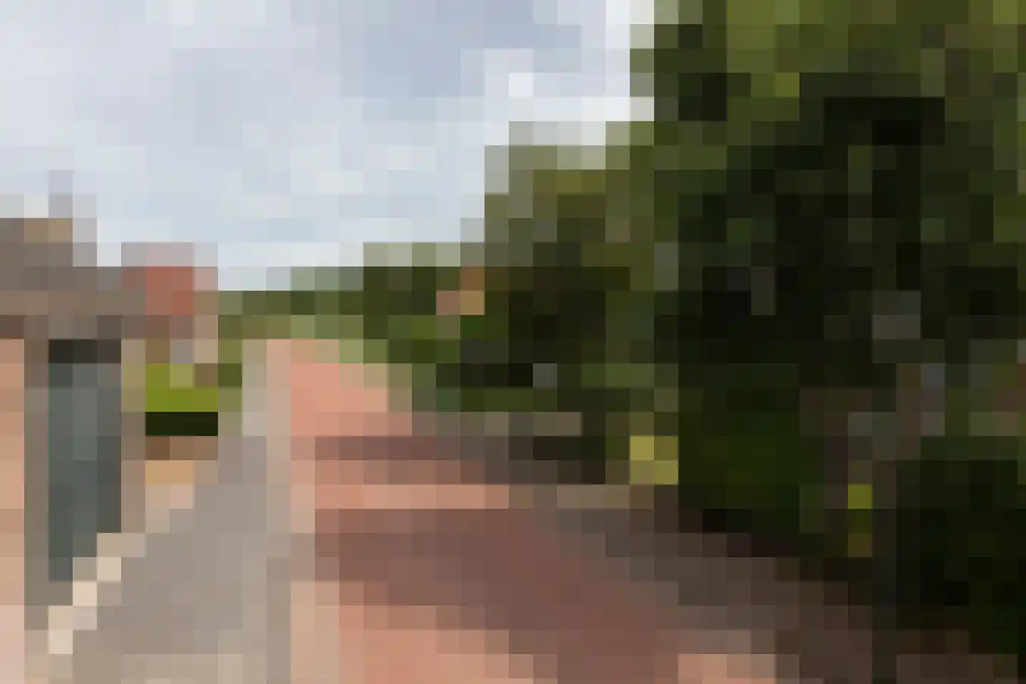 van Osingaweg 11 Schettens thumbnail 39