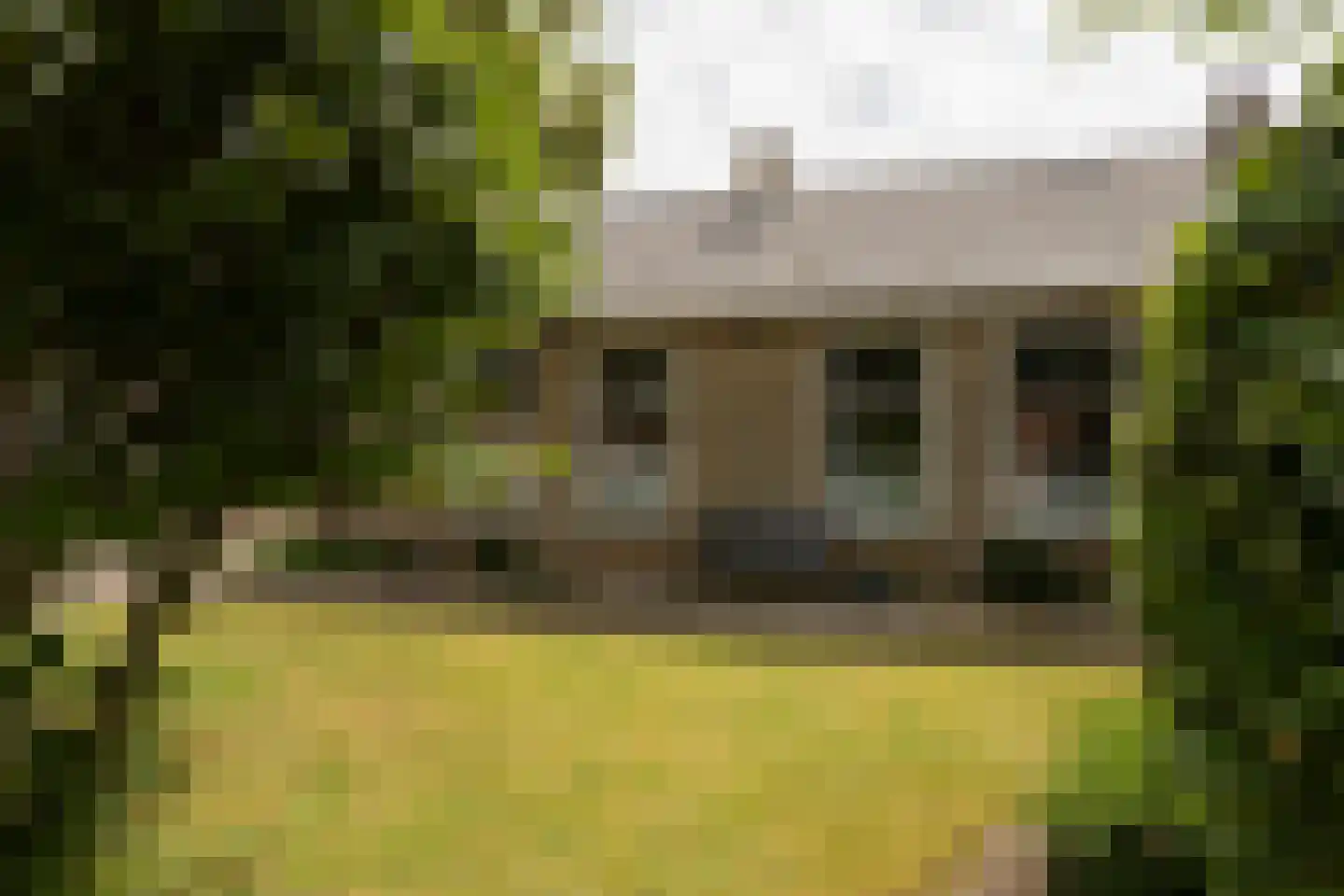 van Osingaweg 11 Schettens thumbnail 4
