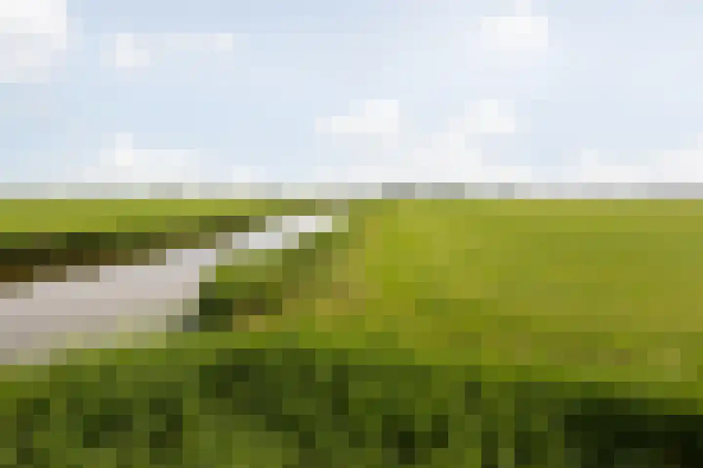 van Osingaweg 11 Schettens thumbnail 43