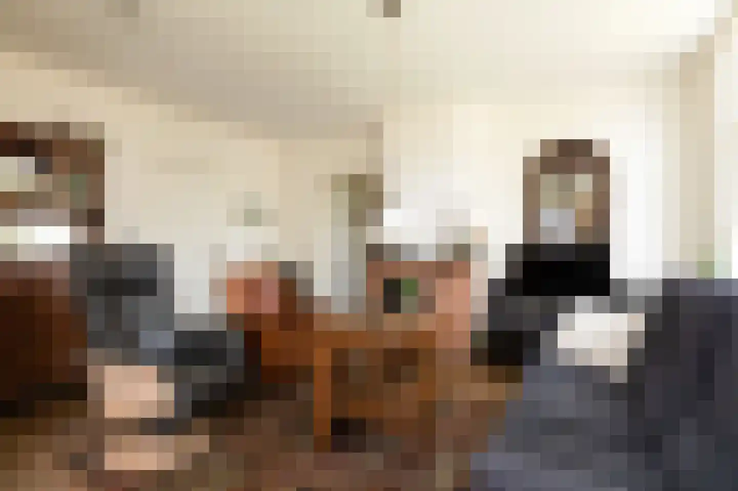van Osingaweg 11 Schettens thumbnail 8