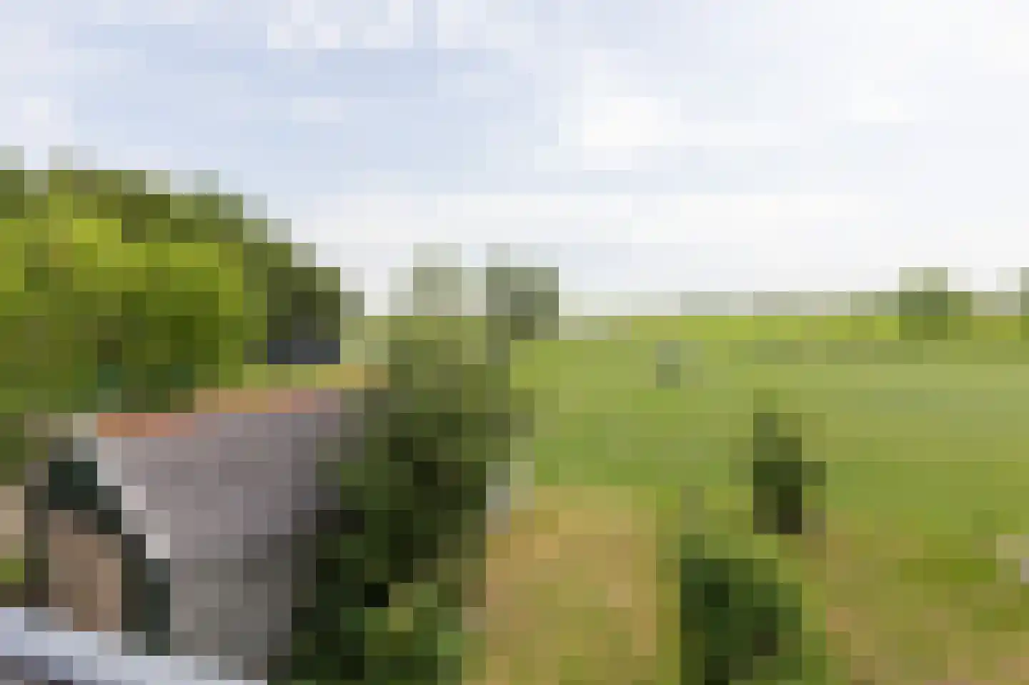 van Osingaweg 7 Schettens thumbnail 18