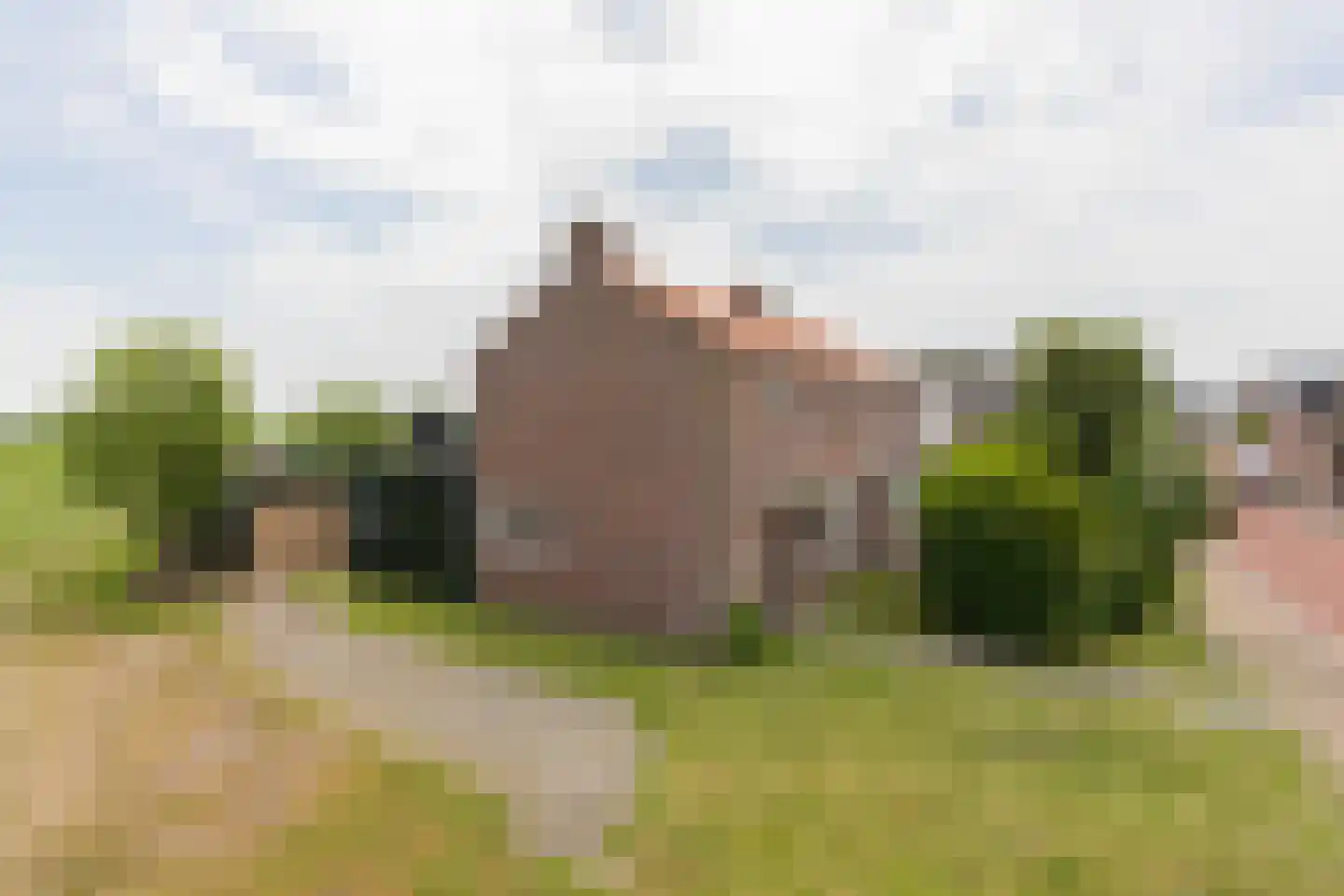 van Osingaweg 7 Schettens foto 2
