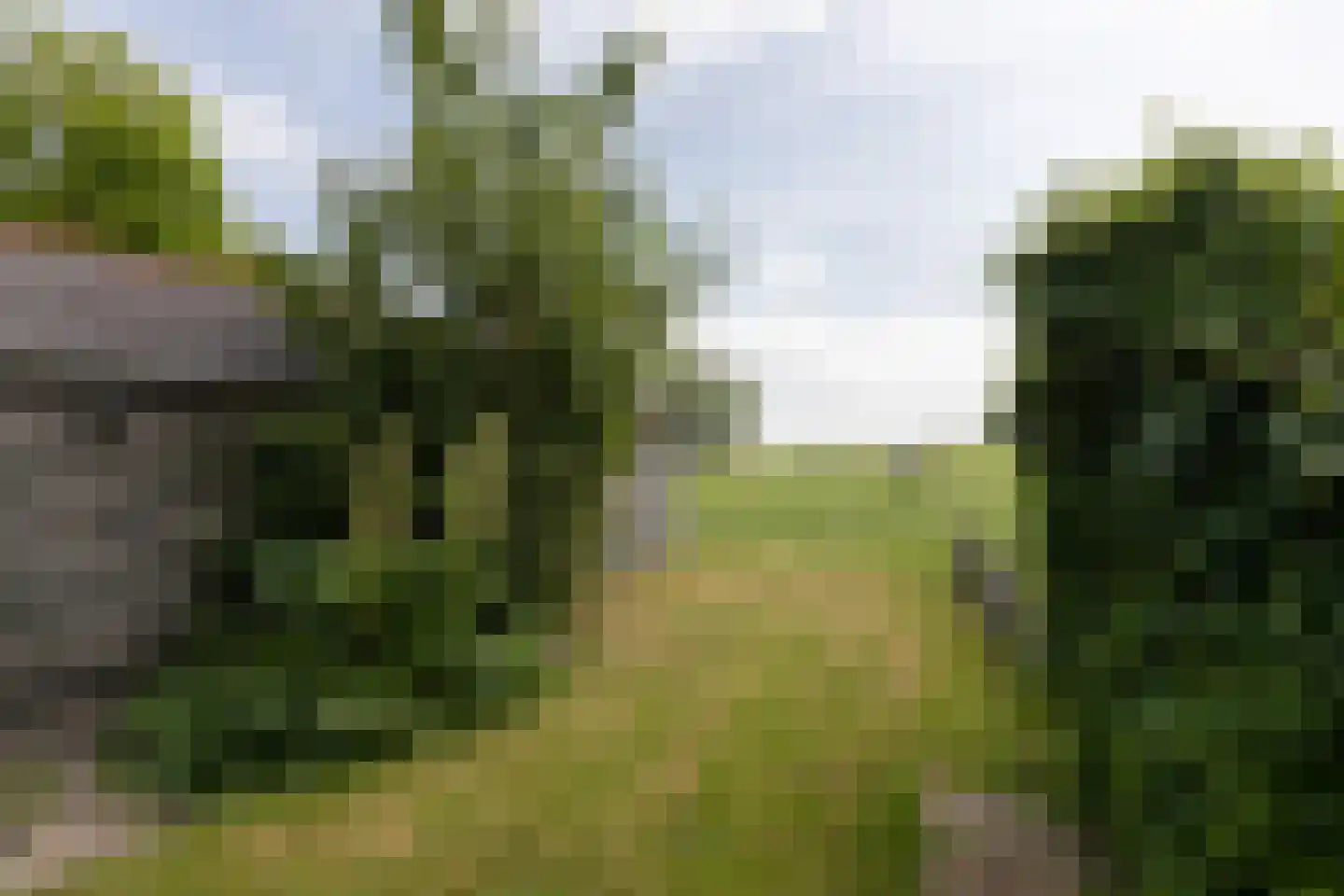 van Osingaweg 7 Schettens thumbnail 28