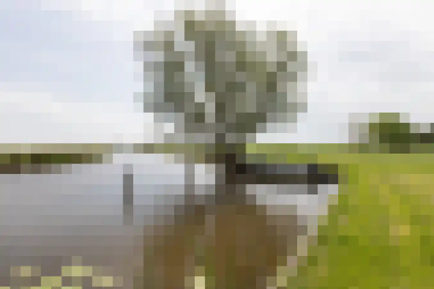 van Osingaweg 7 Schettens thumbnail 32