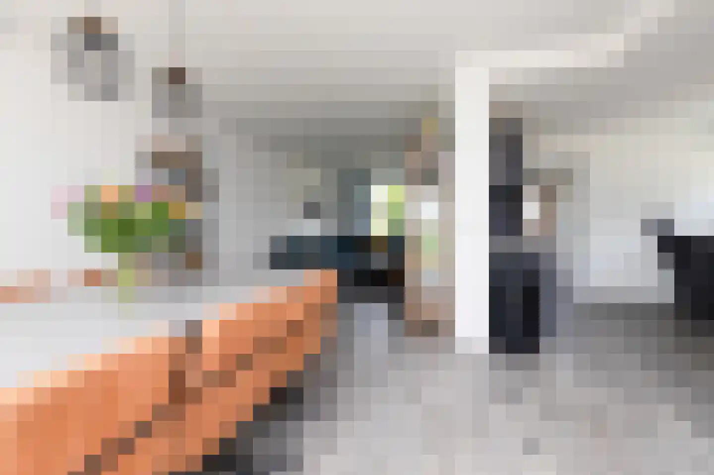 van Osingaweg 7 Schettens thumbnail 8