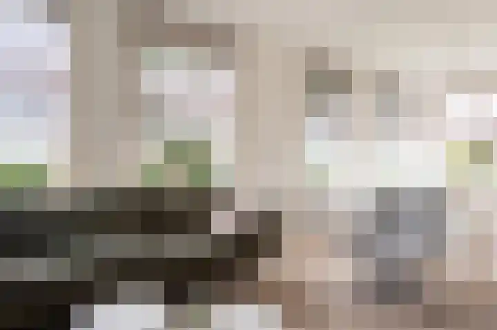 van Osingaweg 78 Schettens thumbnail 14