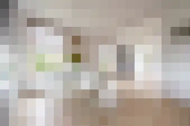 van Osingaweg 78 Schettens thumbnail 15