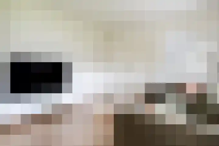 van Osingaweg 78 Schettens thumbnail 16
