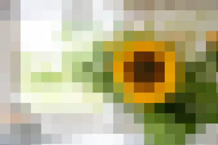 van Osingaweg 78 Schettens thumbnail 19
