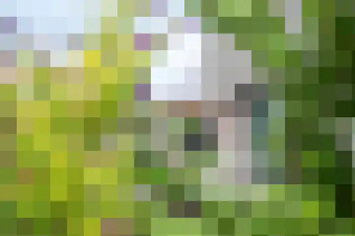 van Osingaweg 78 Schettens thumbnail 25