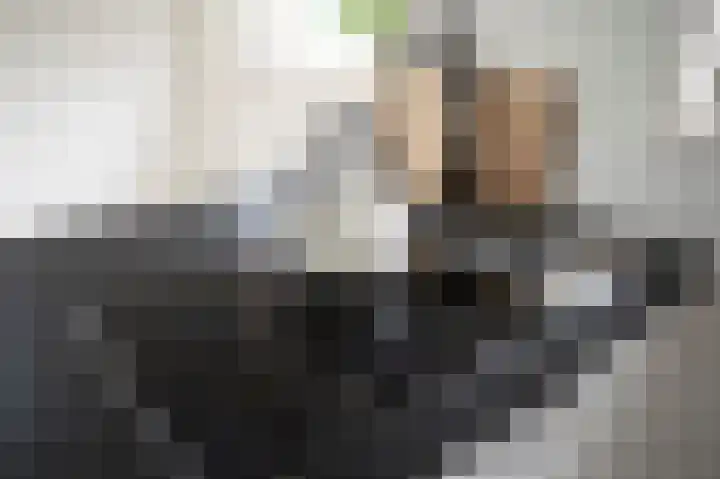 van Osingaweg 78 Schettens thumbnail 31
