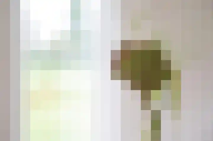 van Osingaweg 78 Schettens thumbnail 32