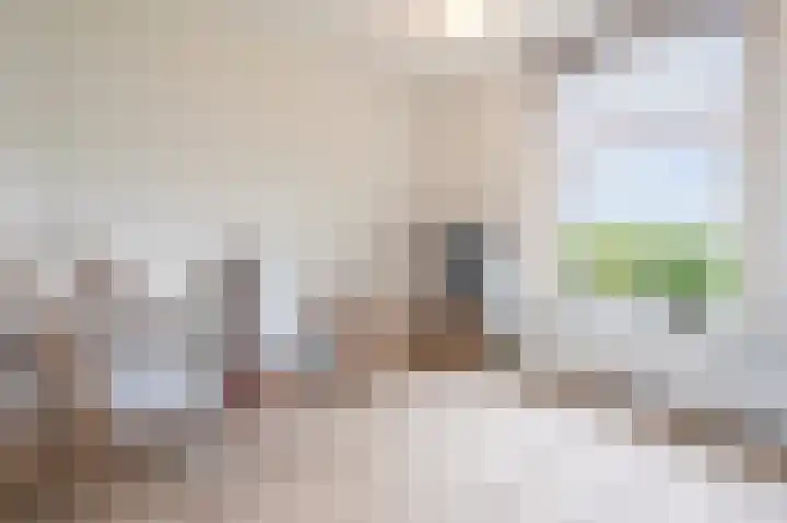 van Osingaweg 78 Schettens thumbnail 34