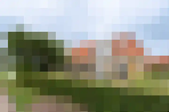 van Osingaweg 78 Schettens thumbnail 4