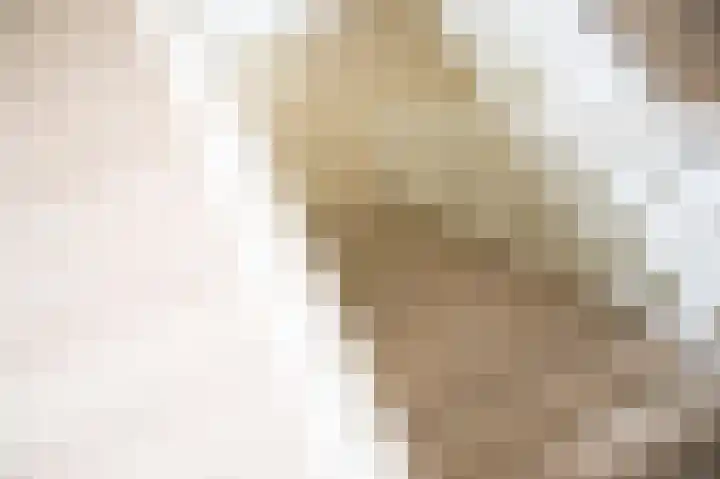 van Osingaweg 78 Schettens thumbnail 40