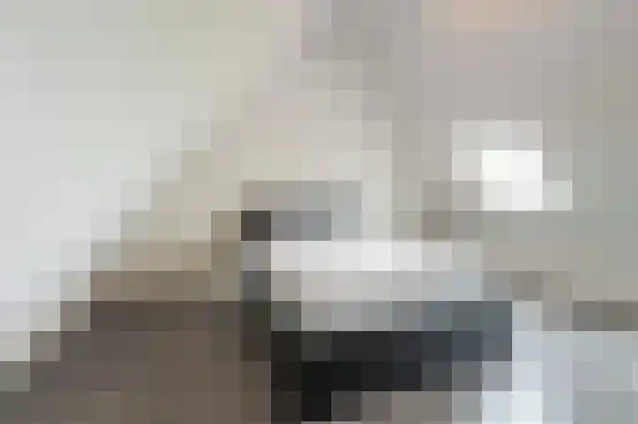 van Osingaweg 78 Schettens thumbnail 42