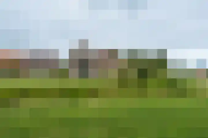 van Osingaweg 78 Schettens thumbnail 5
