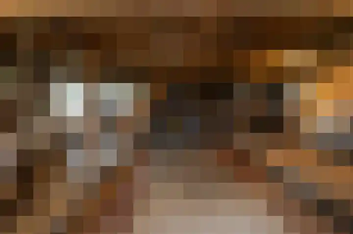 van Osingaweg 78 Schettens thumbnail 59