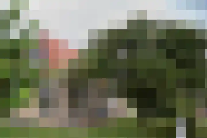 van Osingaweg 78 Schettens thumbnail 61