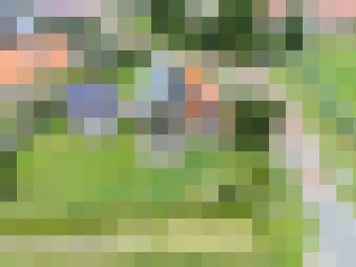 van Osingaweg 78 Schettens thumbnail 65
