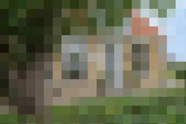 van Osingaweg 78 Schettens thumbnail 7