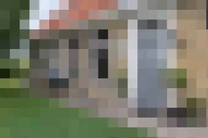 van Osingaweg 78 Schettens thumbnail 8