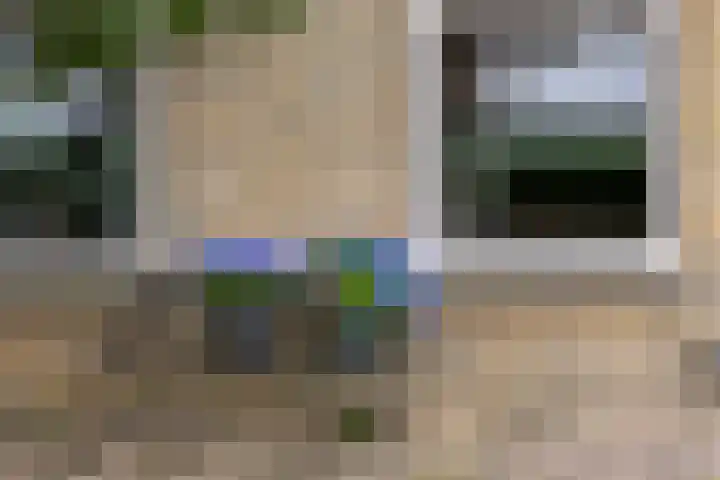 van Osingaweg 78 Schettens thumbnail 9